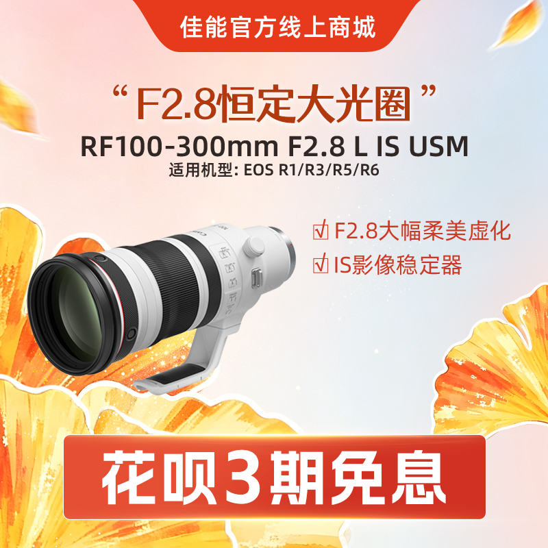 RF100-300mm F2.8 L IS USM