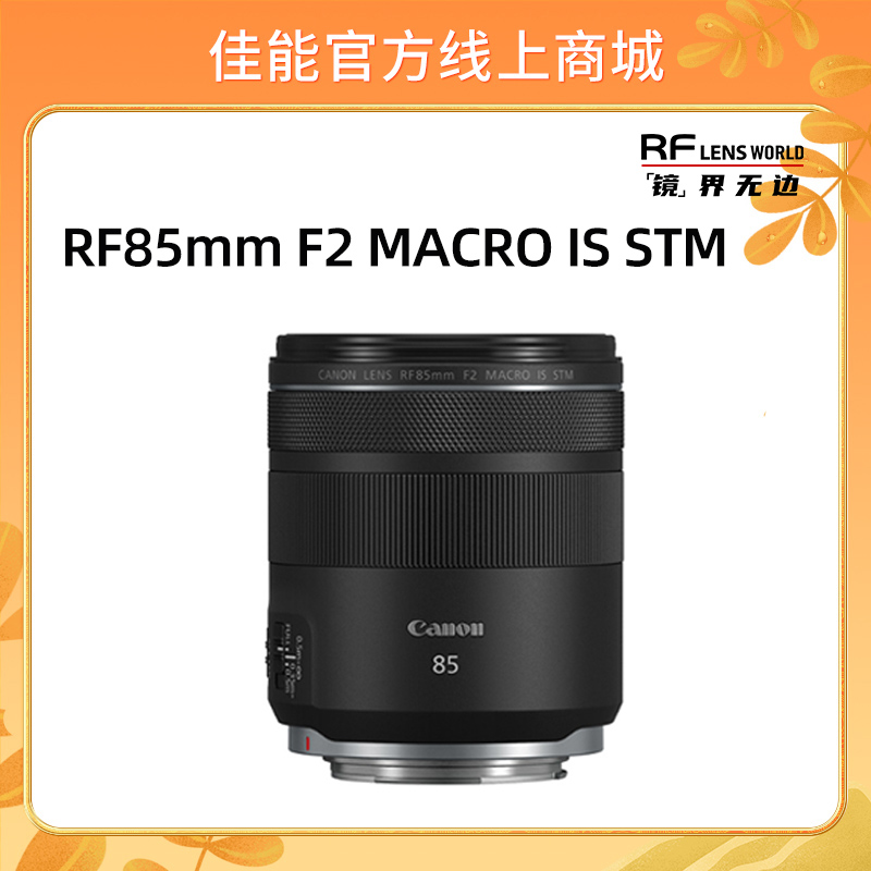RF85mm F2 MACRO IS STM