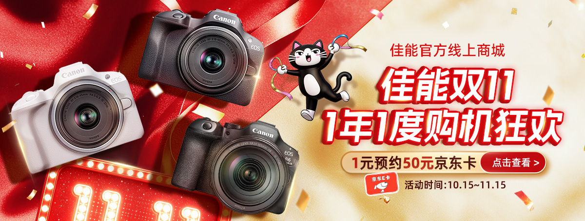 ICP双11