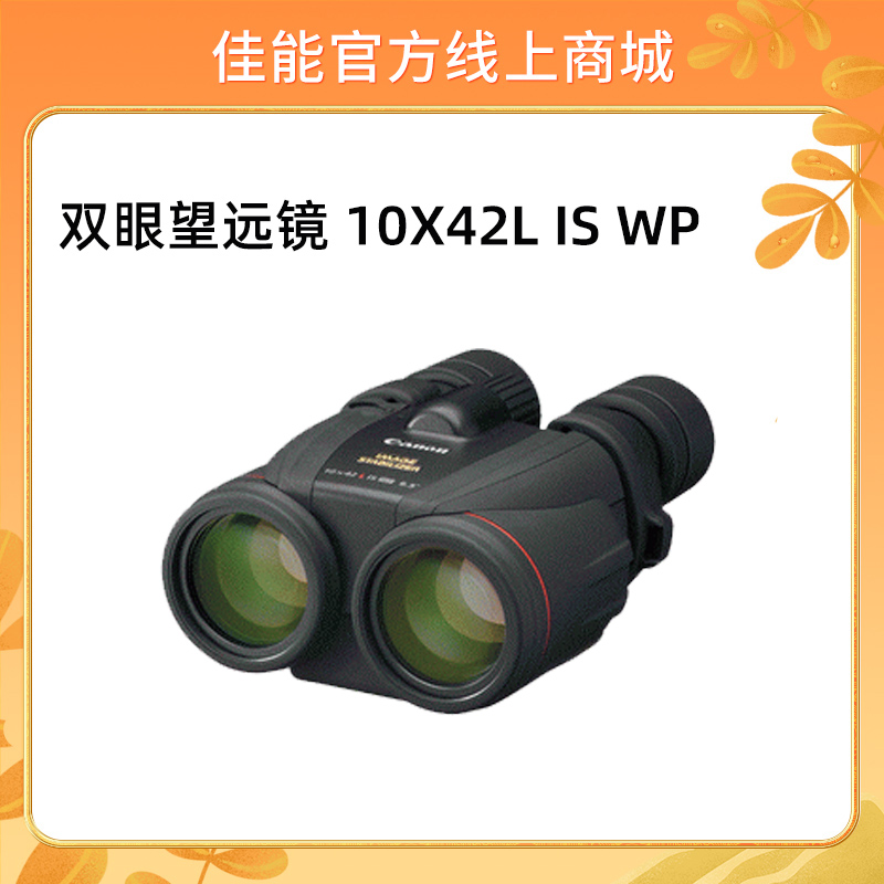 双眼望远镜 10X42L IS WP