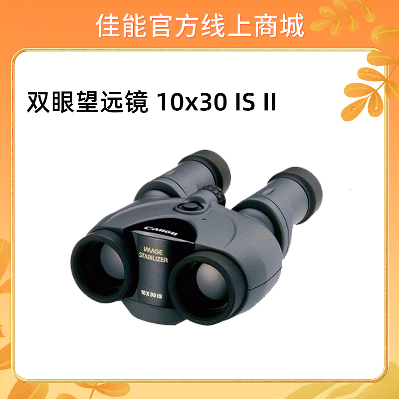 双眼望远镜 10x30 IS II