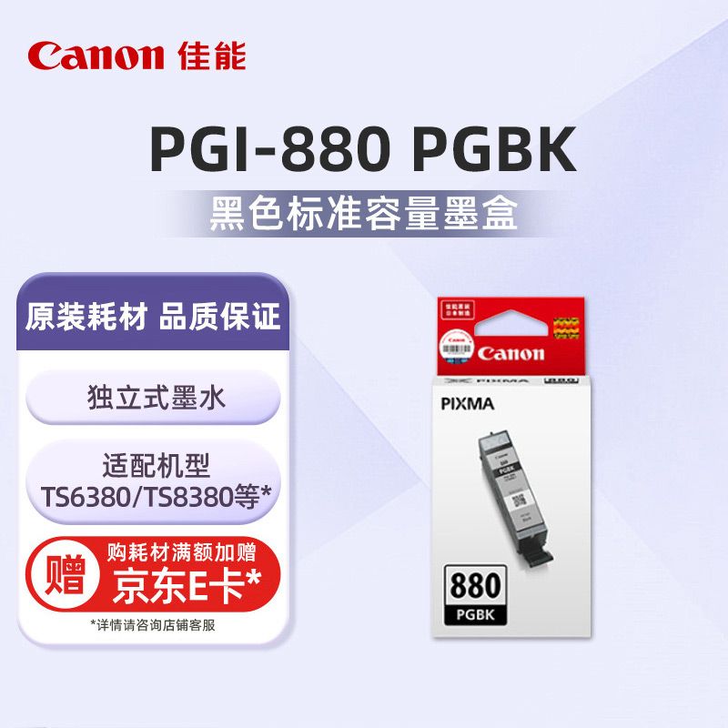 PGI-880 PGBK标准容量颜料黑色墨盒